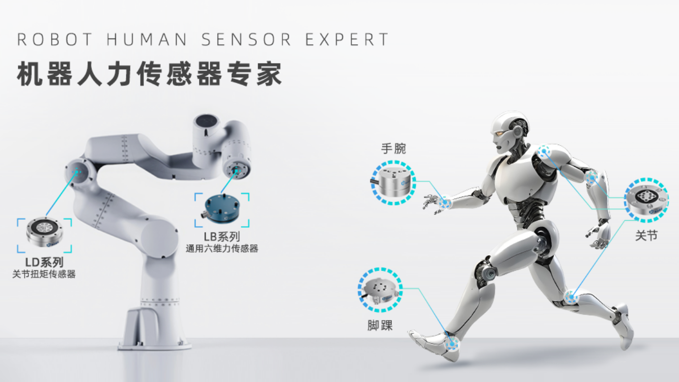 六维力传感器在人形机器人与协作机器人场景应用案例