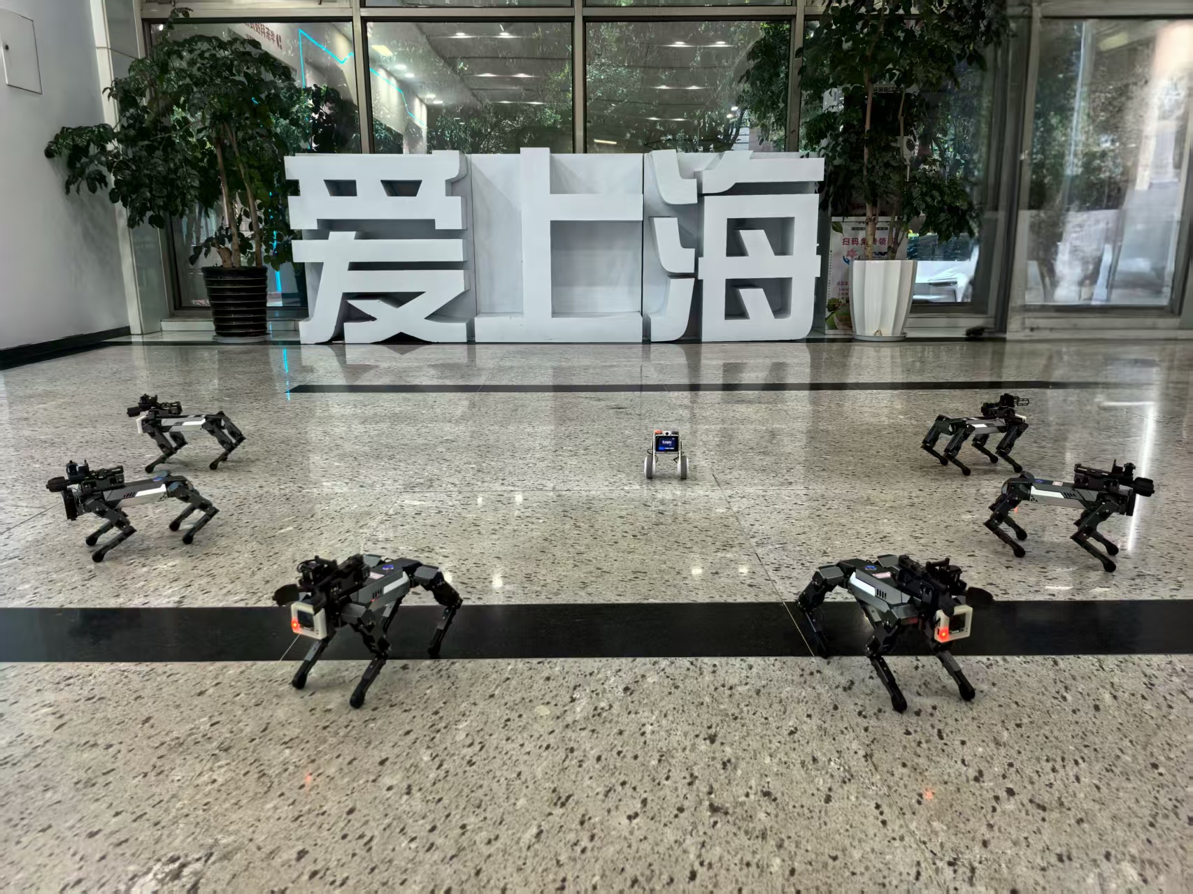 四足机器人及双轮足机器人群舞表演