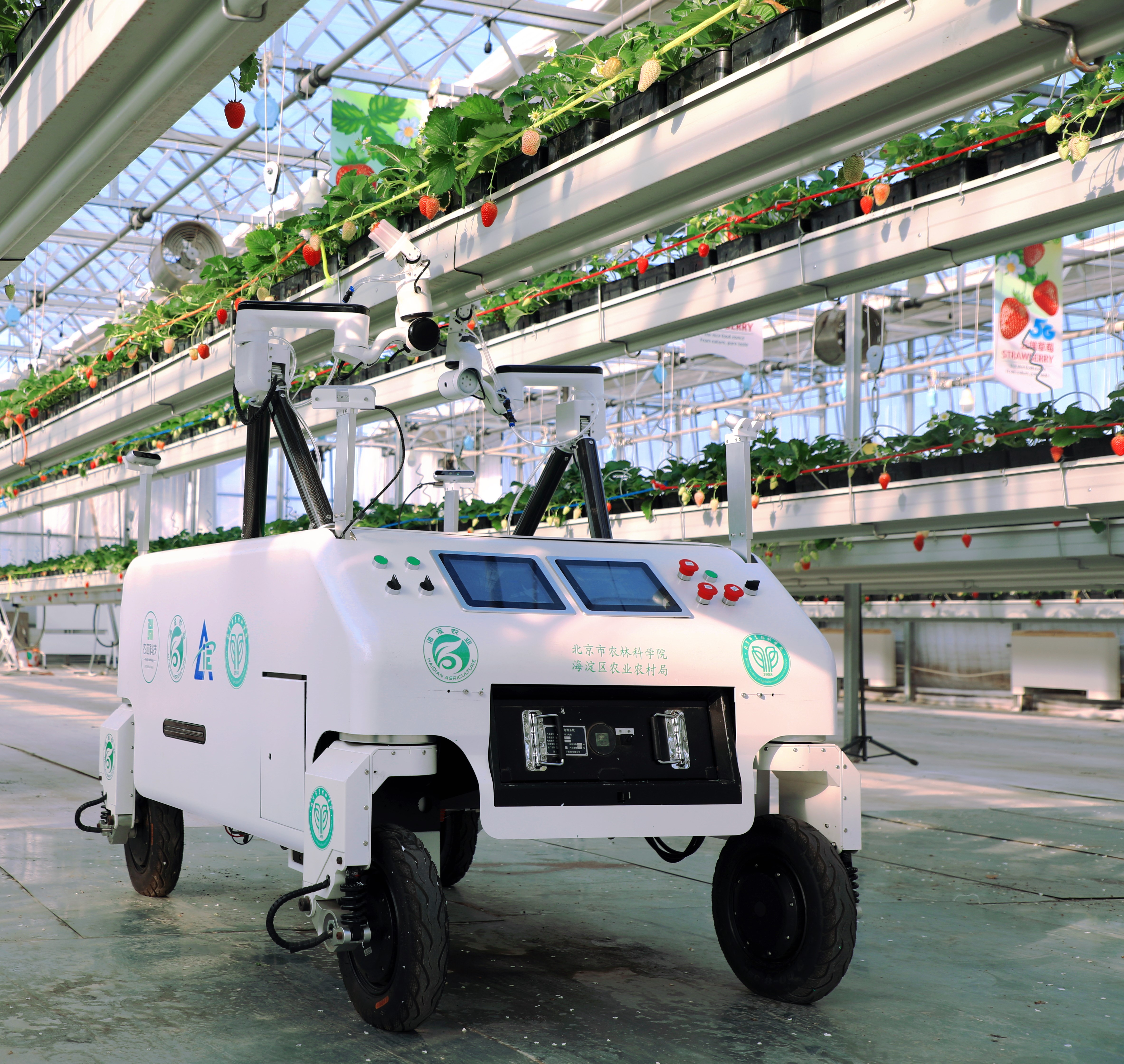 草莓采摘机器人