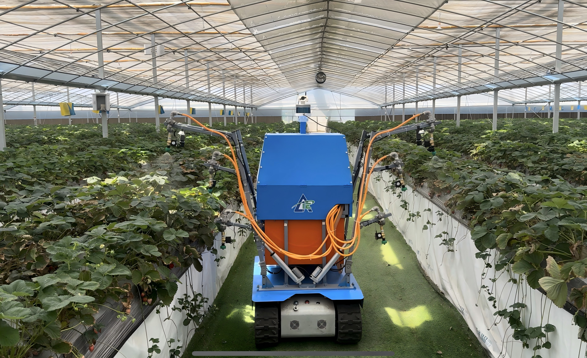 草莓对靶喷药机器人