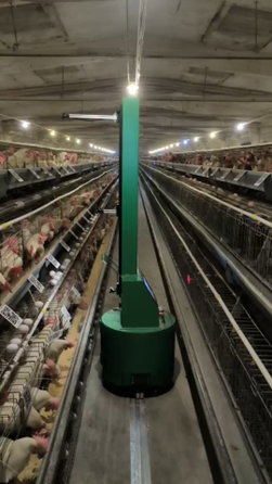 低产鸡巡检机器人